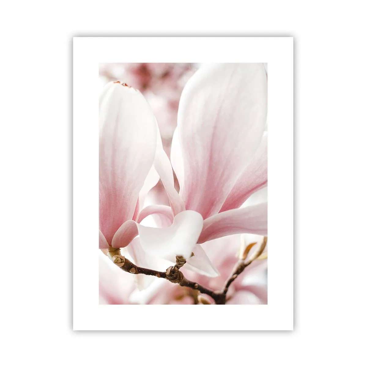 Poster - Immensity of Tenderness - 30x40 cm