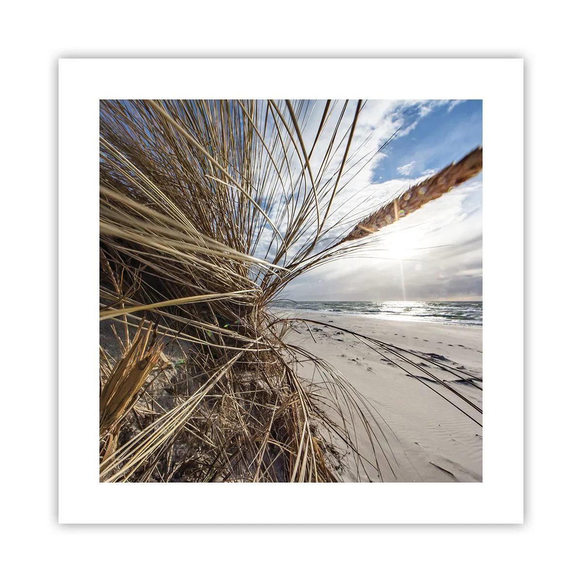 Poster - Enounter of the Elements - 40x40 cm