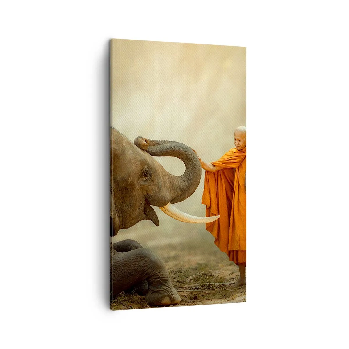 Canvas picture - Unexpected Meeting - 45x80 cm
