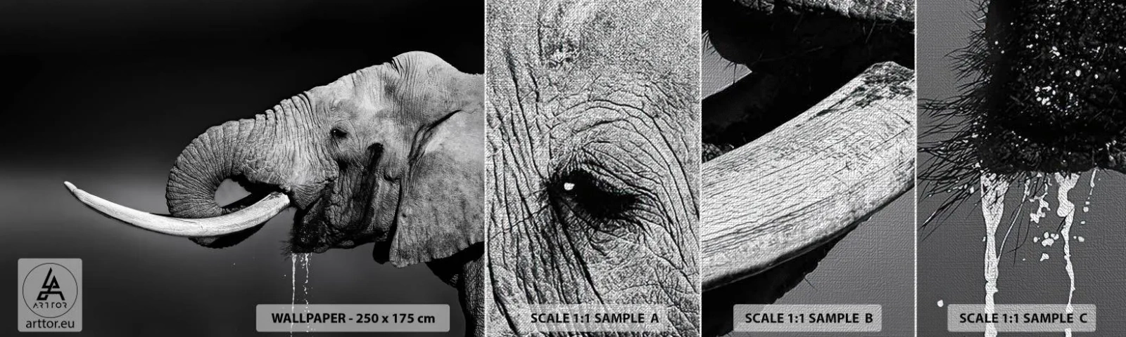 Photo Wallpaper Sample Premium Canvas - Yes, That's Right - Animals, Elephant, Africa - 100x30 cm