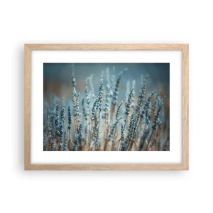 Poster in light oak frame - Fragrant Grass - 40x30 cm