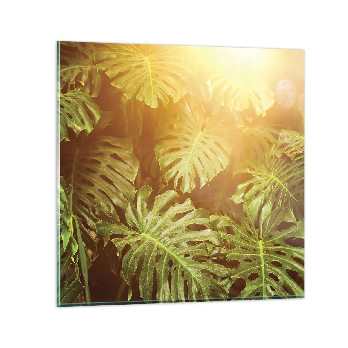 Glass picture - Walking into the Green - 30x30 cm