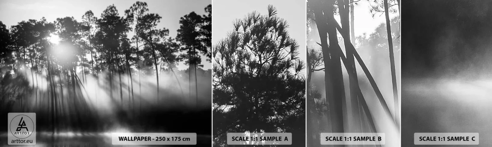 Photo Wallpaper Sample Self-Adhesive Deluxe Sticker - Unstoppable Sun - Landscape, Forest, Nature - 100x30 cm