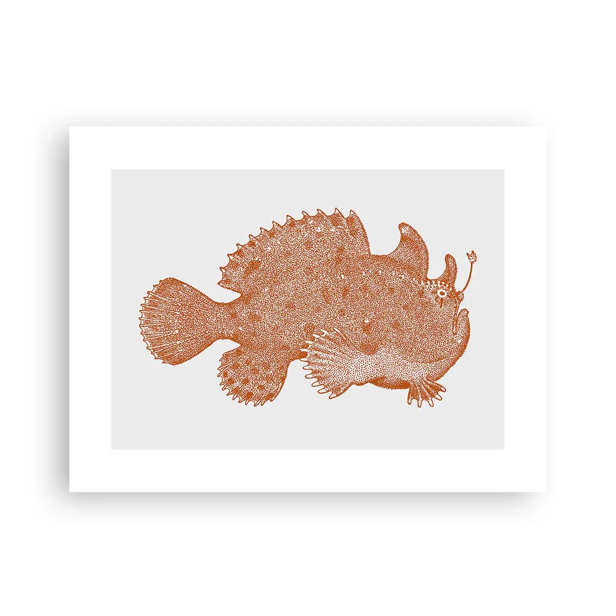 Poster - Fish after All - 40x30 cm