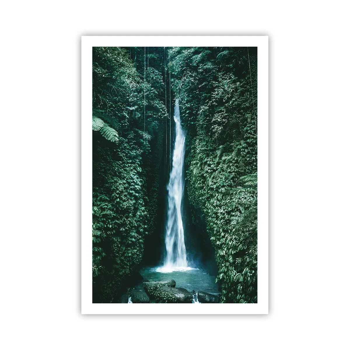 Poster - Tropical Spring - 61x91 cm