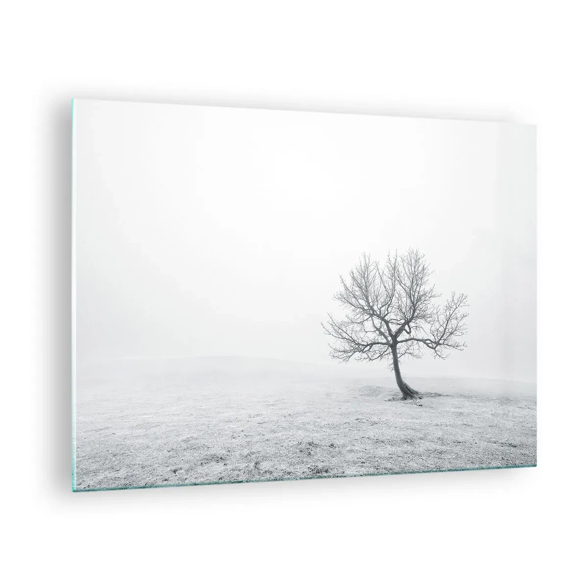 Glass picture - A lonely tree against the fog in a monochromatic composition - 70x50cm - Against Nothingness - Modern wall decoration for the living room and bedroom ARTTOR