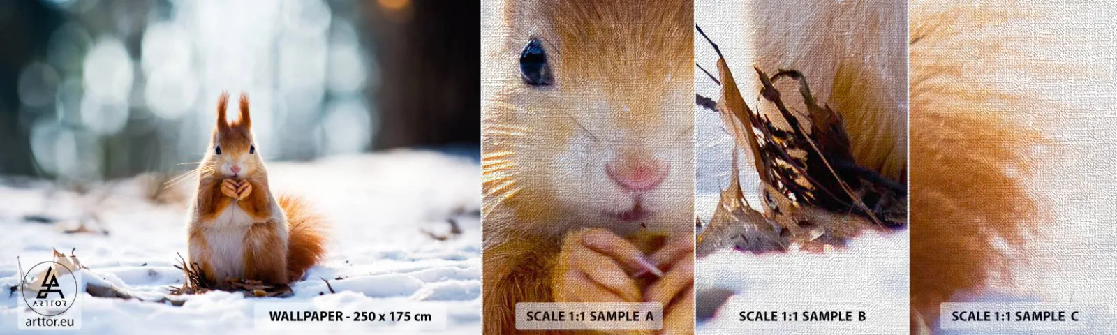 Photo Wallpaper Sample Premium Canvas - What Are You Looking at? - Animals, Squirrel, Winter - 100x30 cm
