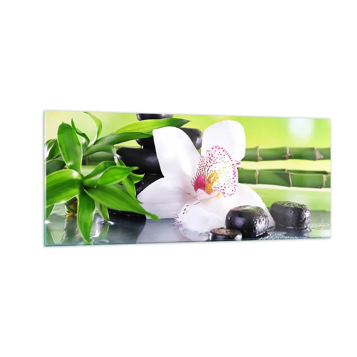 Glass picture - Cool Freshness - 100x40 cm