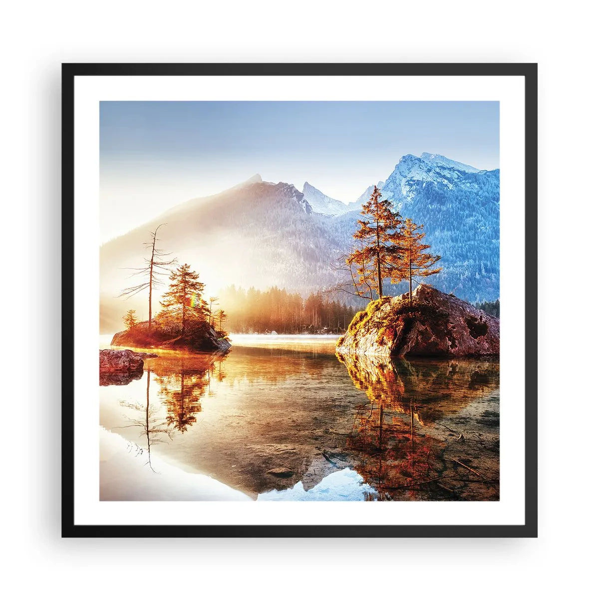 Poster in black frame - Nature in New Light - 60x60 cm
