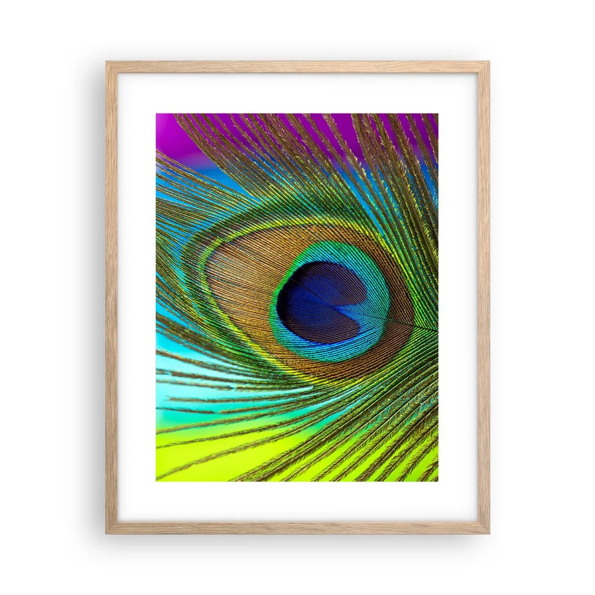 Poster in light oak frame - Eye to Eye - 40x50 cm