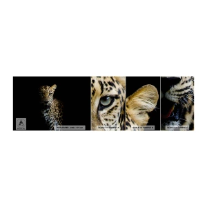 Photo Wallpaper Sample Self-Adhesive Deluxe Sticker - Dark Beauty - Animals, leopard, Wild cat - 100x30 cm