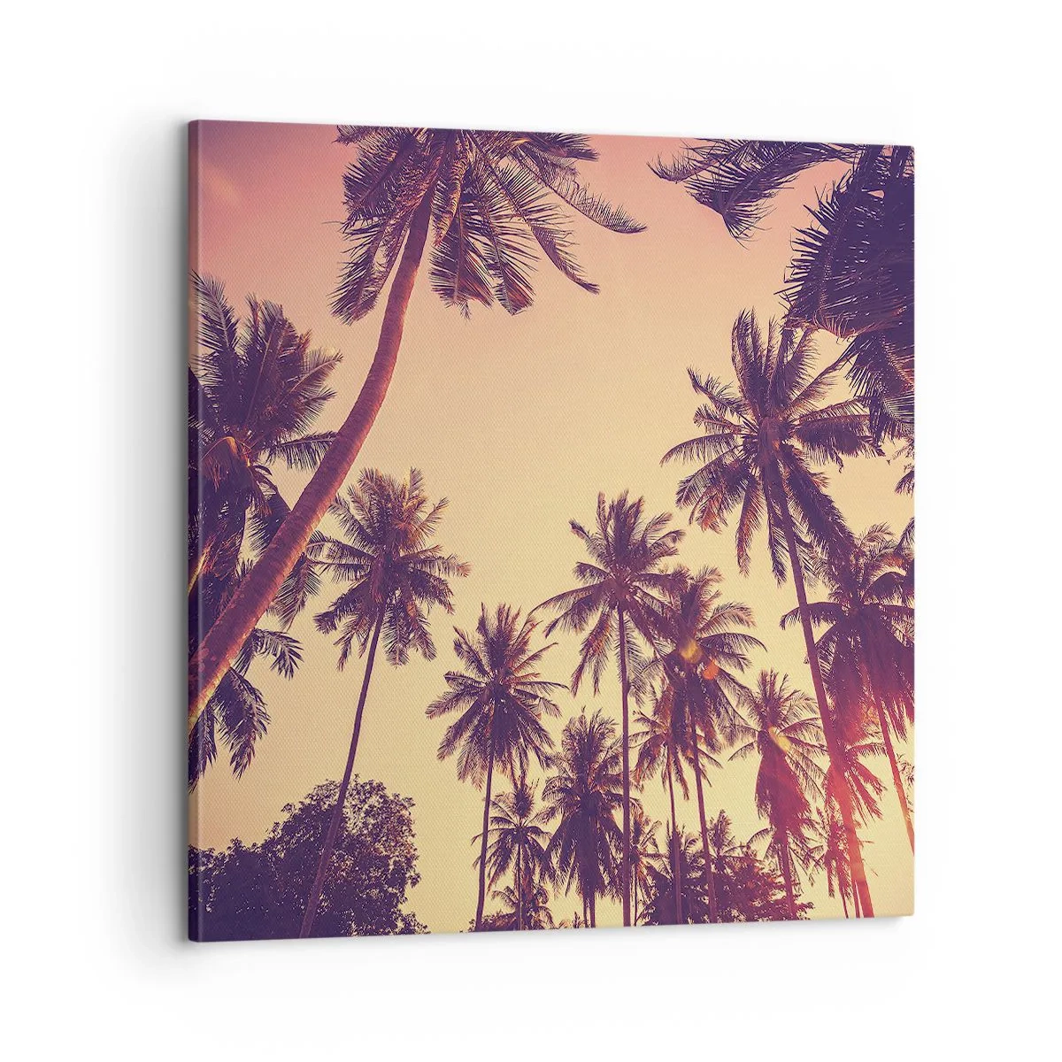 Canvas picture - Tropical Variation - 60x60 cm