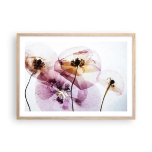 Poster in light oak frame - Flower Body Slide - 70x50 cm