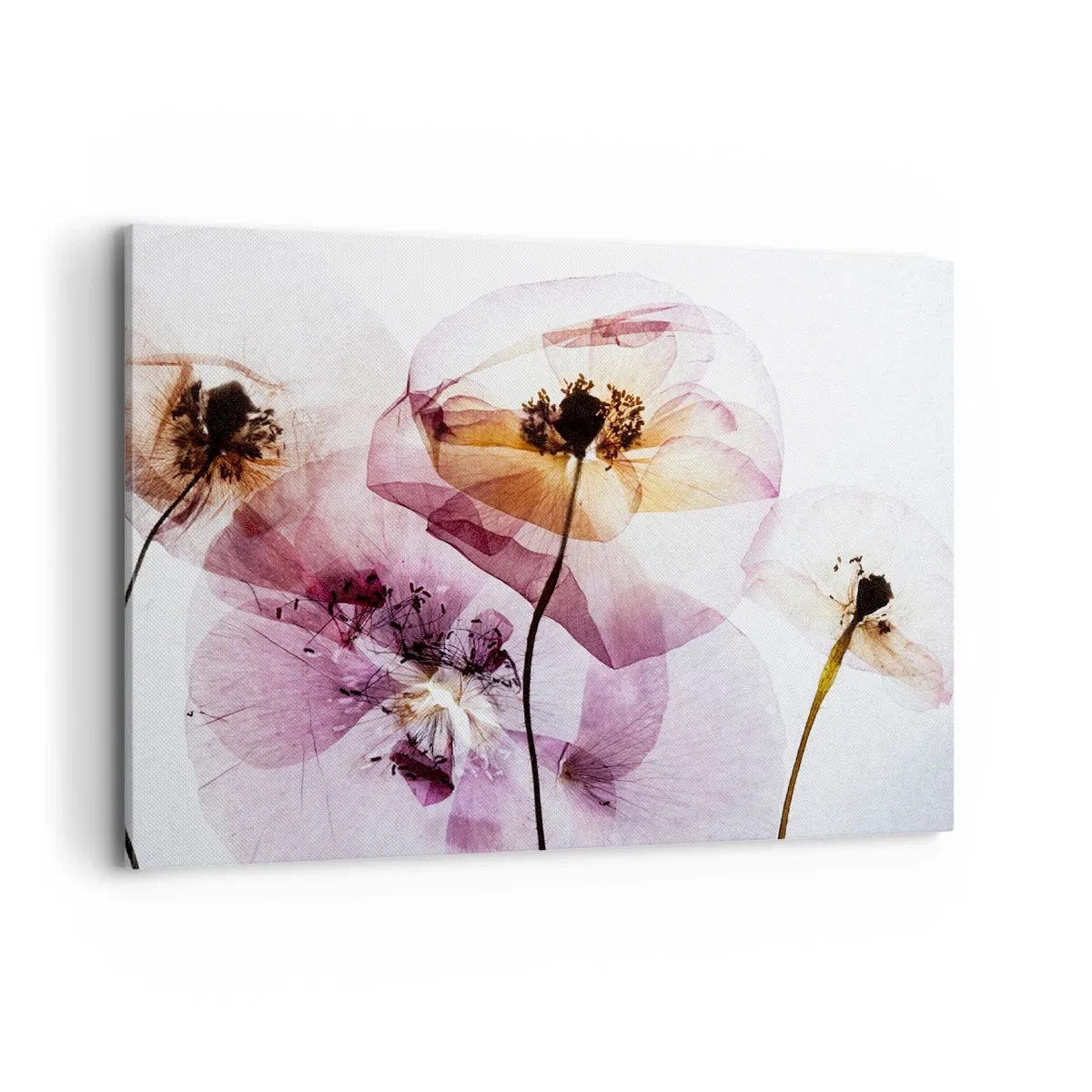 Canvas picture - Flower Body Slide - 100x70 cm