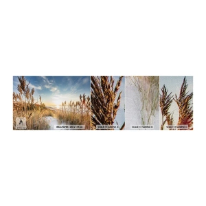 Photo Wallpaper Sample Premium Canvas - Northern Beach - Landscape, Sea, Beach - 100x30 cm