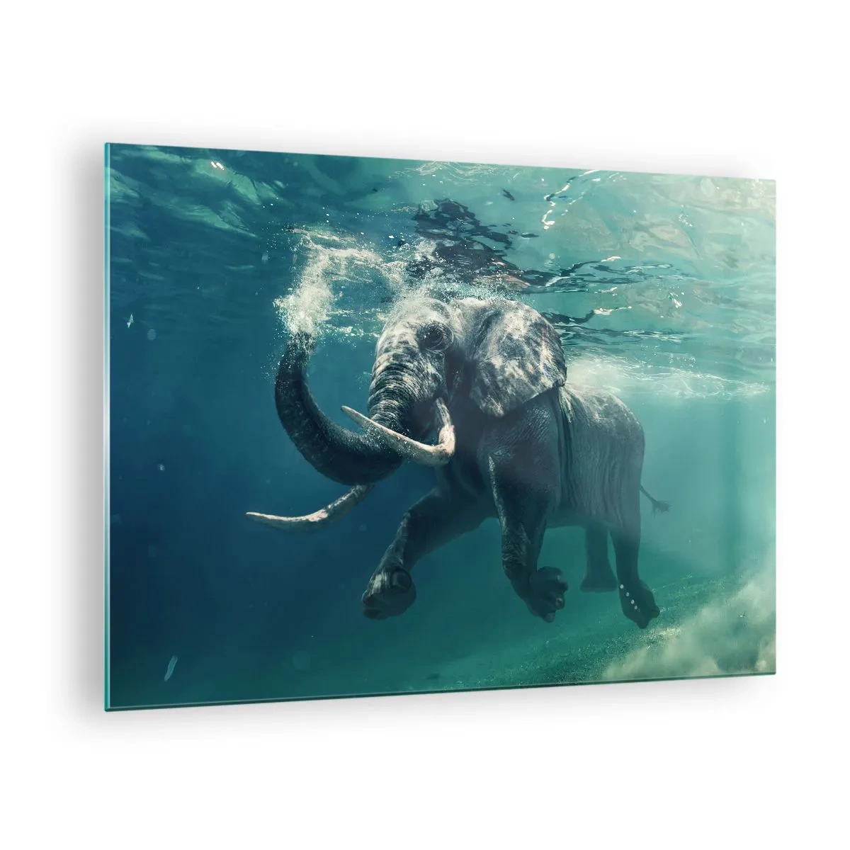Glass picture - An elephant swimming underwater in the blue ocean - 70x50cm - Everyone Likes to Swim - Modern wall decoration for the living room and bedroom ARTTOR