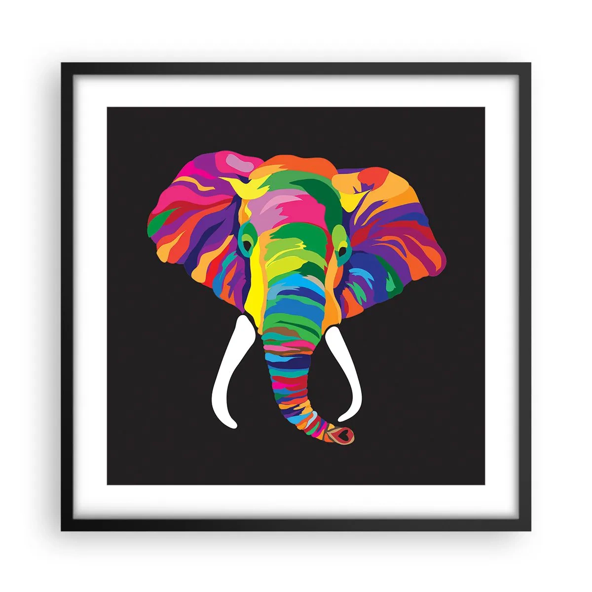 Poster in black frame - Elephant That Enjoyed Rainbow Bath - 50x50 cm