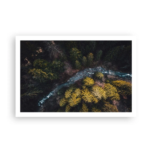 Poster - Fast and Faster - 91x61 cm