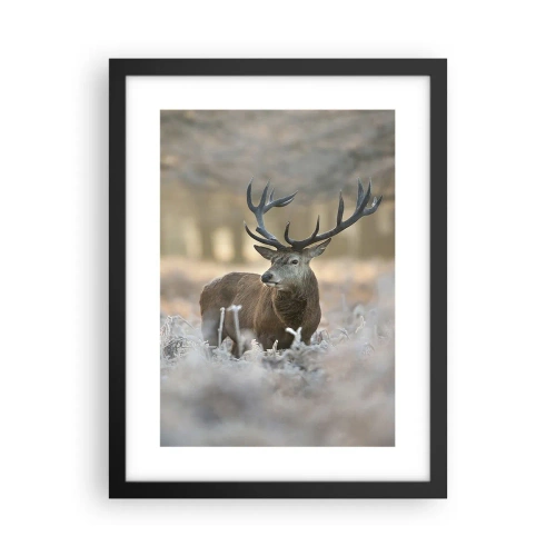 Poster in black frame - Chilly Morning - 30x40 cm