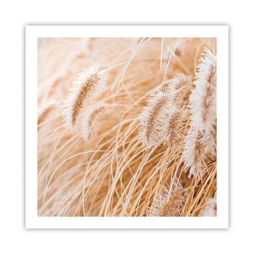 Poster - Golden Rustling of Grass - 60x60 cm