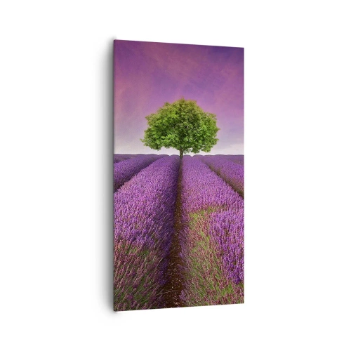Canvas picture - In the Fields of Lavender - 65x120 cm