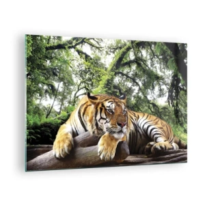Glass picture - A tiger resting in a green tropical forest - 70x50cm - Best Regards - Modern wall decoration for the living room and bedroom ARTTOR