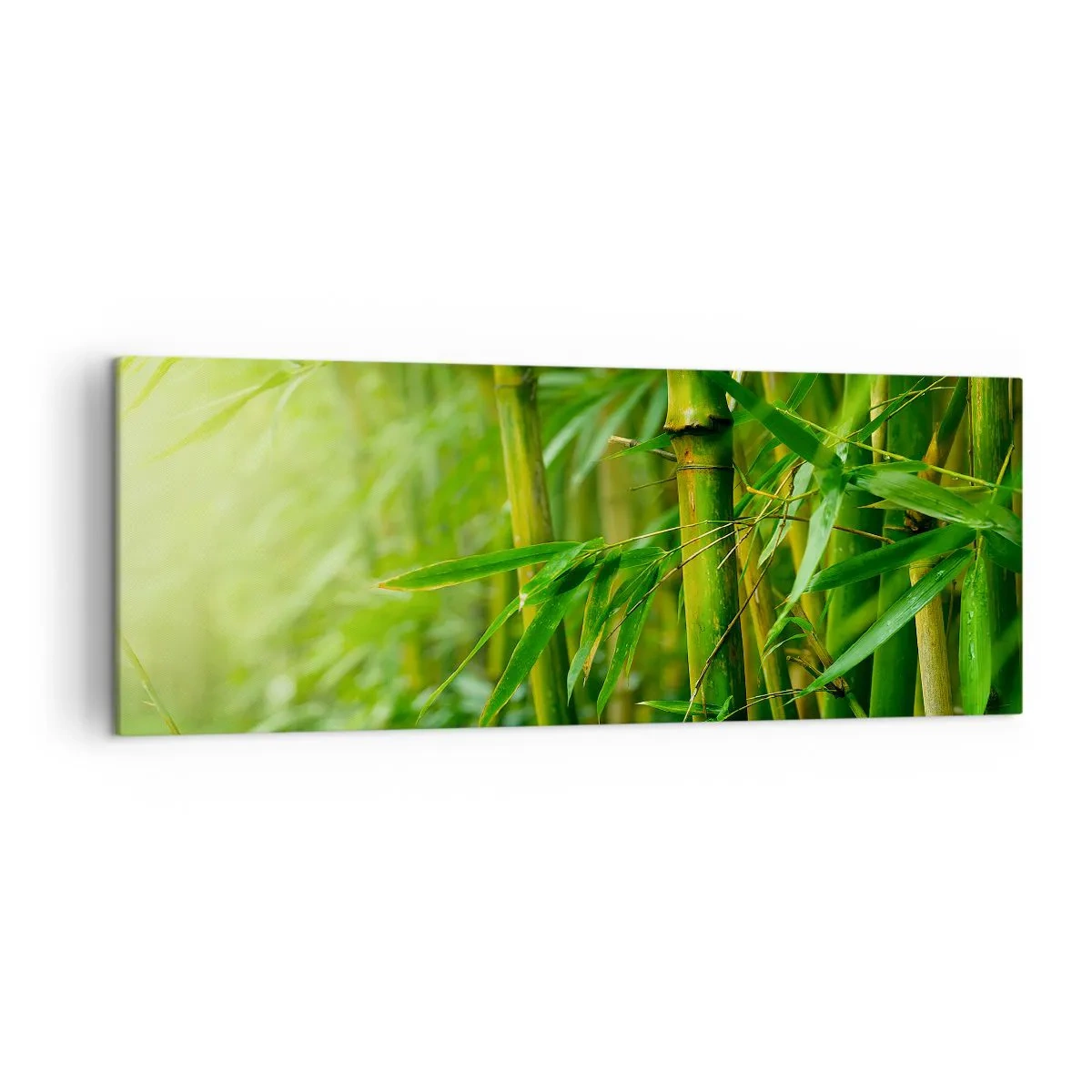 Canvas picture - Getting to Know the Green - 140x50 cm