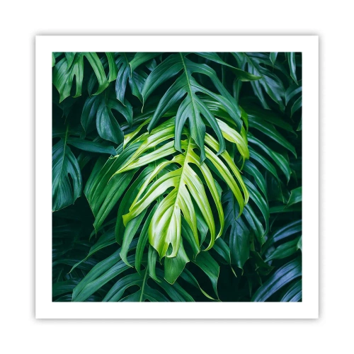 Poster - Immerse Yourself in Freshness - 60x60 cm