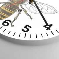 Clock face with numbers