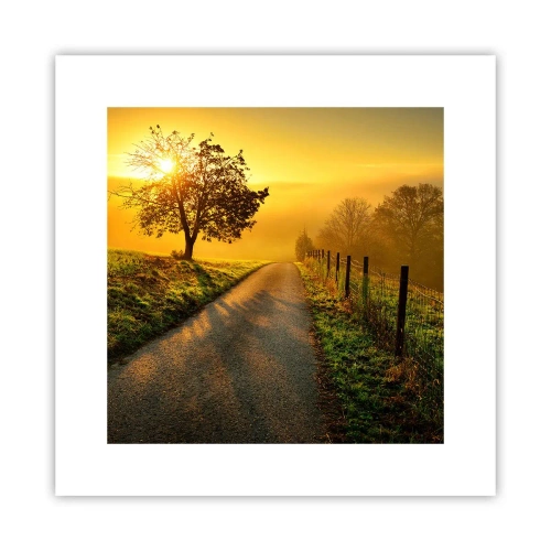 Poster - Honey Afternoon - 30x30 cm