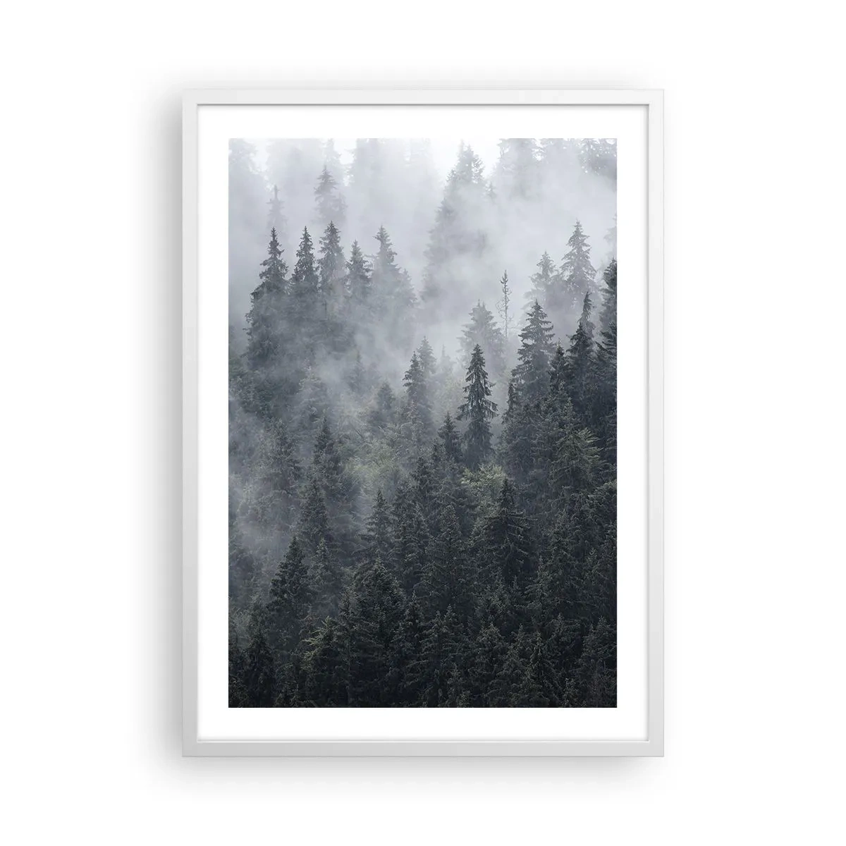 Poster in white frmae - Forest World - 50x70 cm