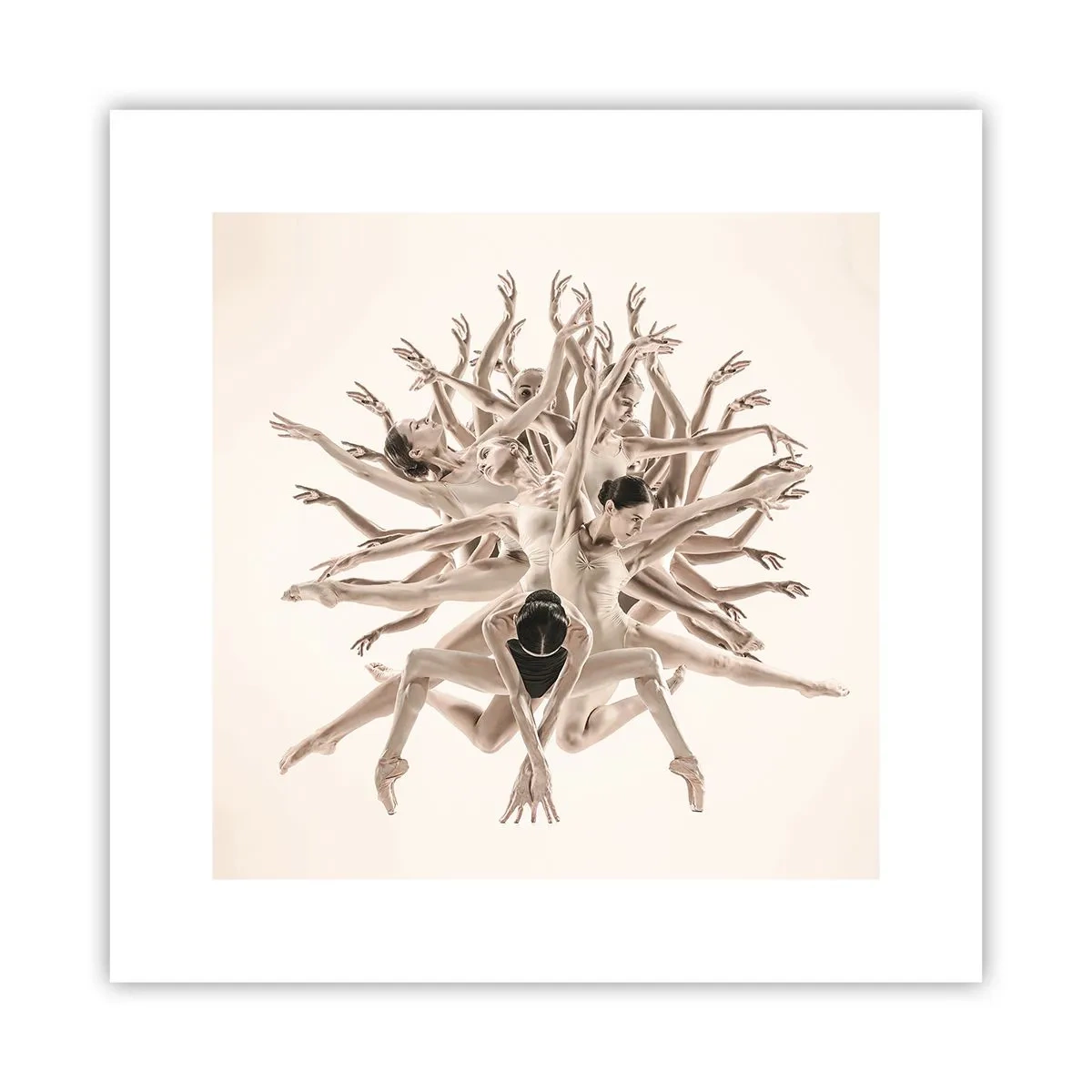 Poster - Dance in Bloom - 30x30 cm