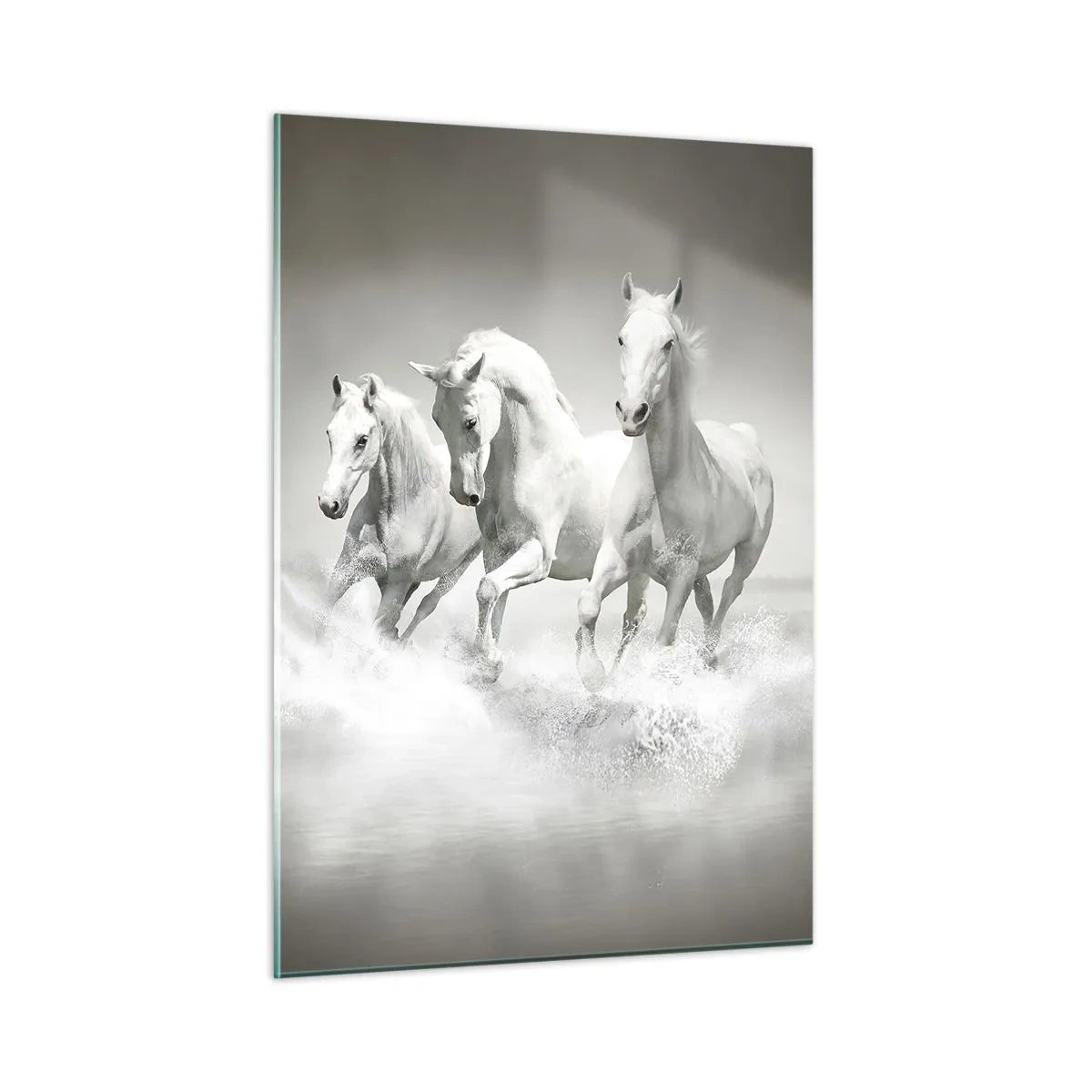 Glass picture - White Madness - 50x70 cm
