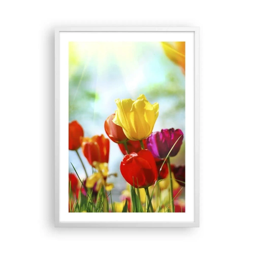 Poster in white frmae - All Colours of the Sun - 50x70 cm