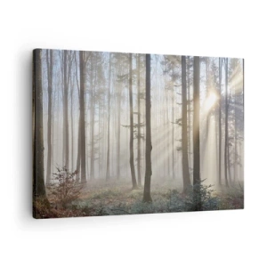 Canvas picture - A forest in a light fog with rays of sunlight shining through the trees - 70x50cm - Fog Has Woken up Too - Modern wall decoration for the living room and bedroom ARTTOR