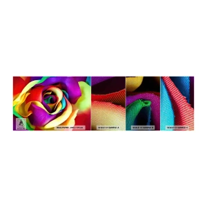 Photo Wallpaper Sample Premium Sand - It's Impossible - Abstraction, Flower, Colorful Rose - 100x30 cm