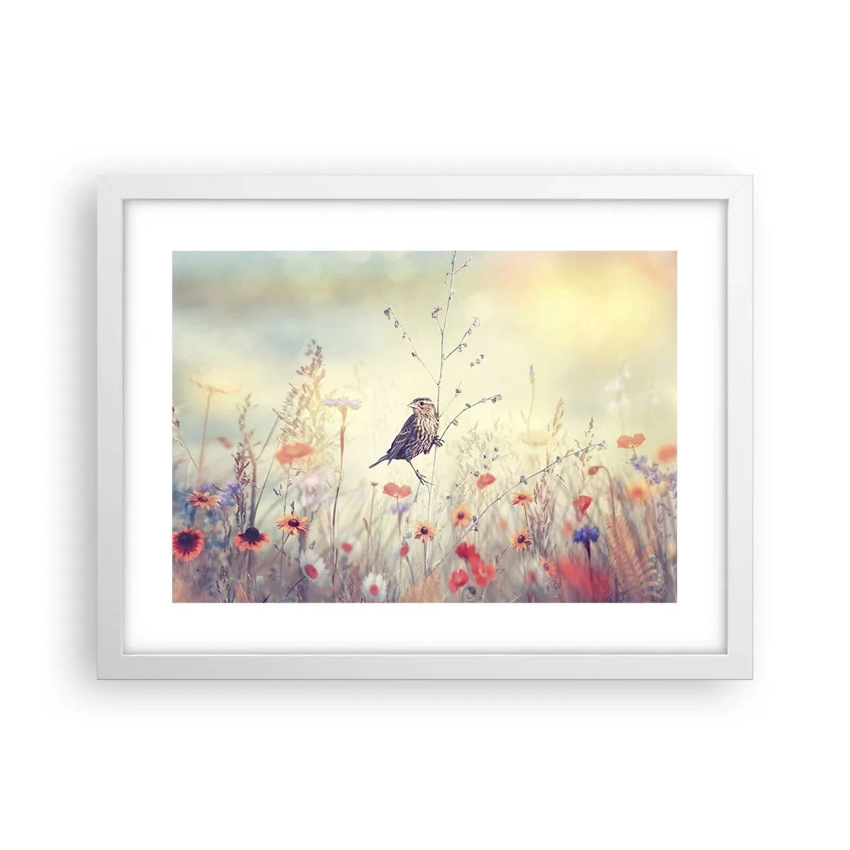 Poster in white frmae - Bird Portrait with a Meadow in the Background - 40x30 cm