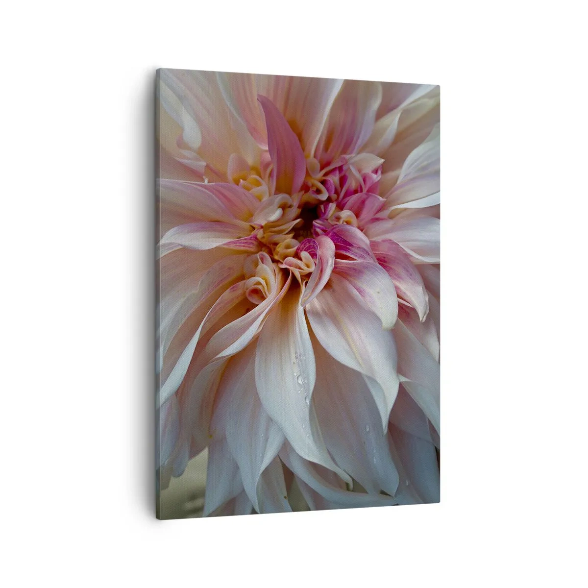 Canvas picture - Blooming Freshness - 50x70 cm