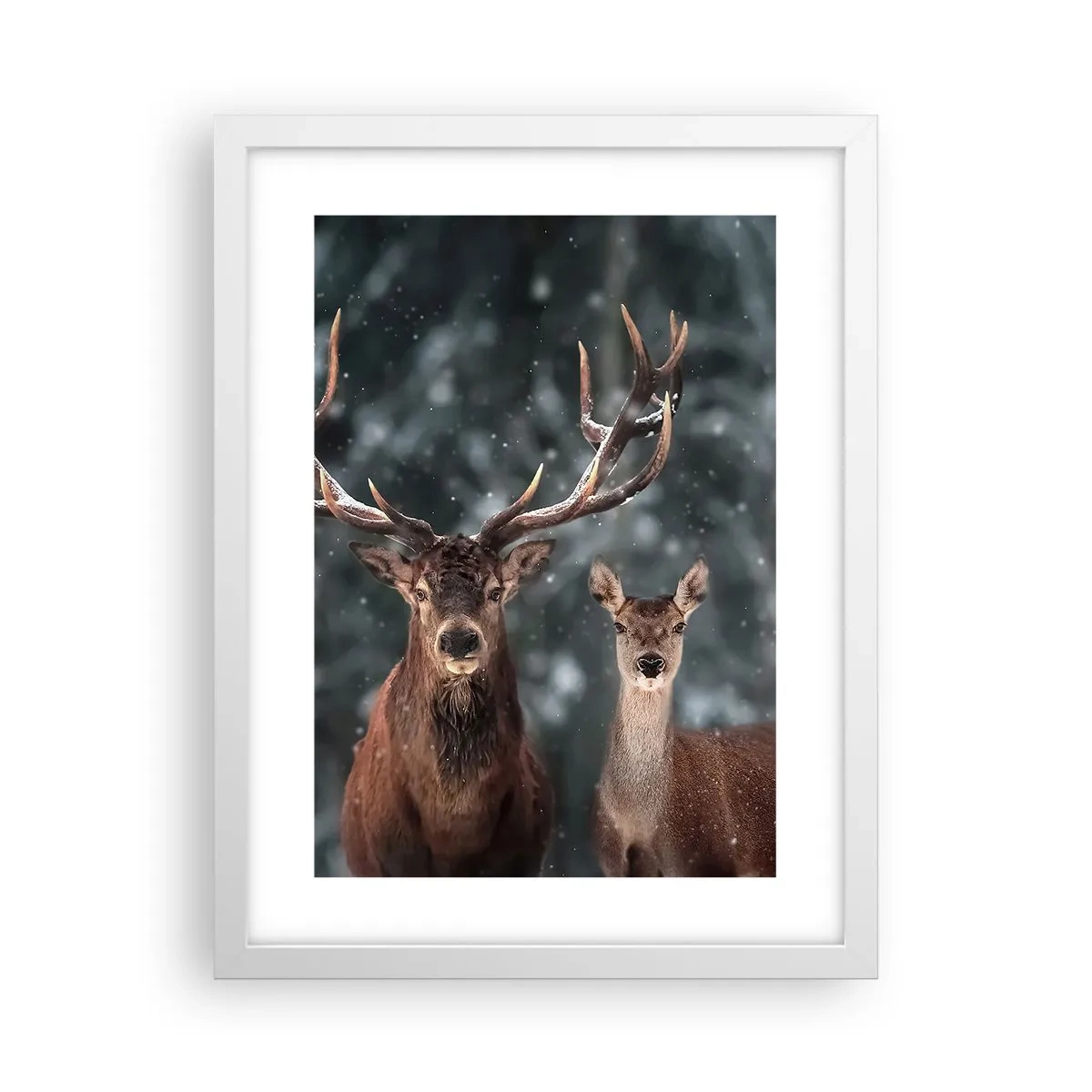 Poster in white frmae - Master of the Forest with His Wife - 30x40 cm