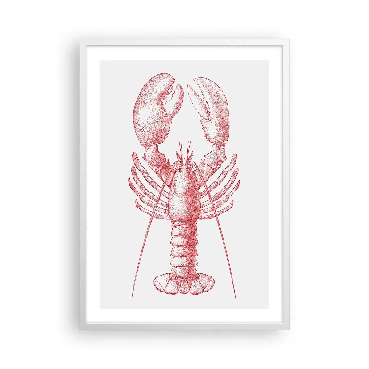 Poster in white frmae - Lobster Worthy of a Lobster - 50x70 cm