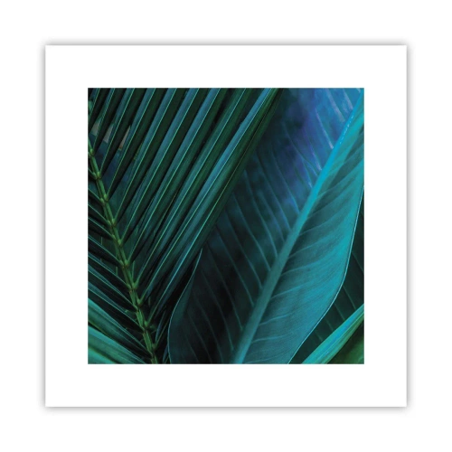 Poster - Anatomy of Green - 30x30 cm
