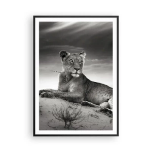 Poster in black frame - Queen of Desert Is Resting - 70x100 cm