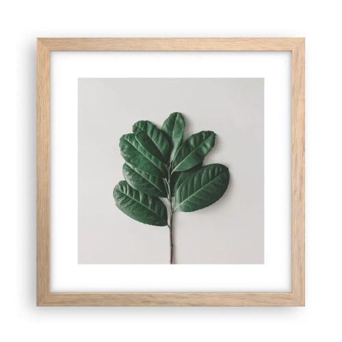 Poster in light oak frame - Drawing of Nature Itself - 30x30 cm