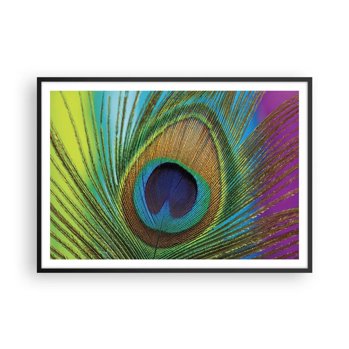 Poster in black frame - Eye to Eye - 100x70 cm