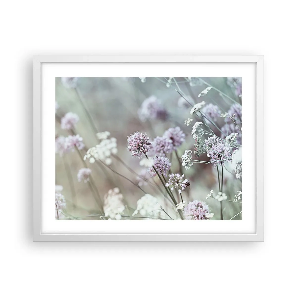 Poster in white frmae - Sweet Filigrees of Herbs - 50x40 cm