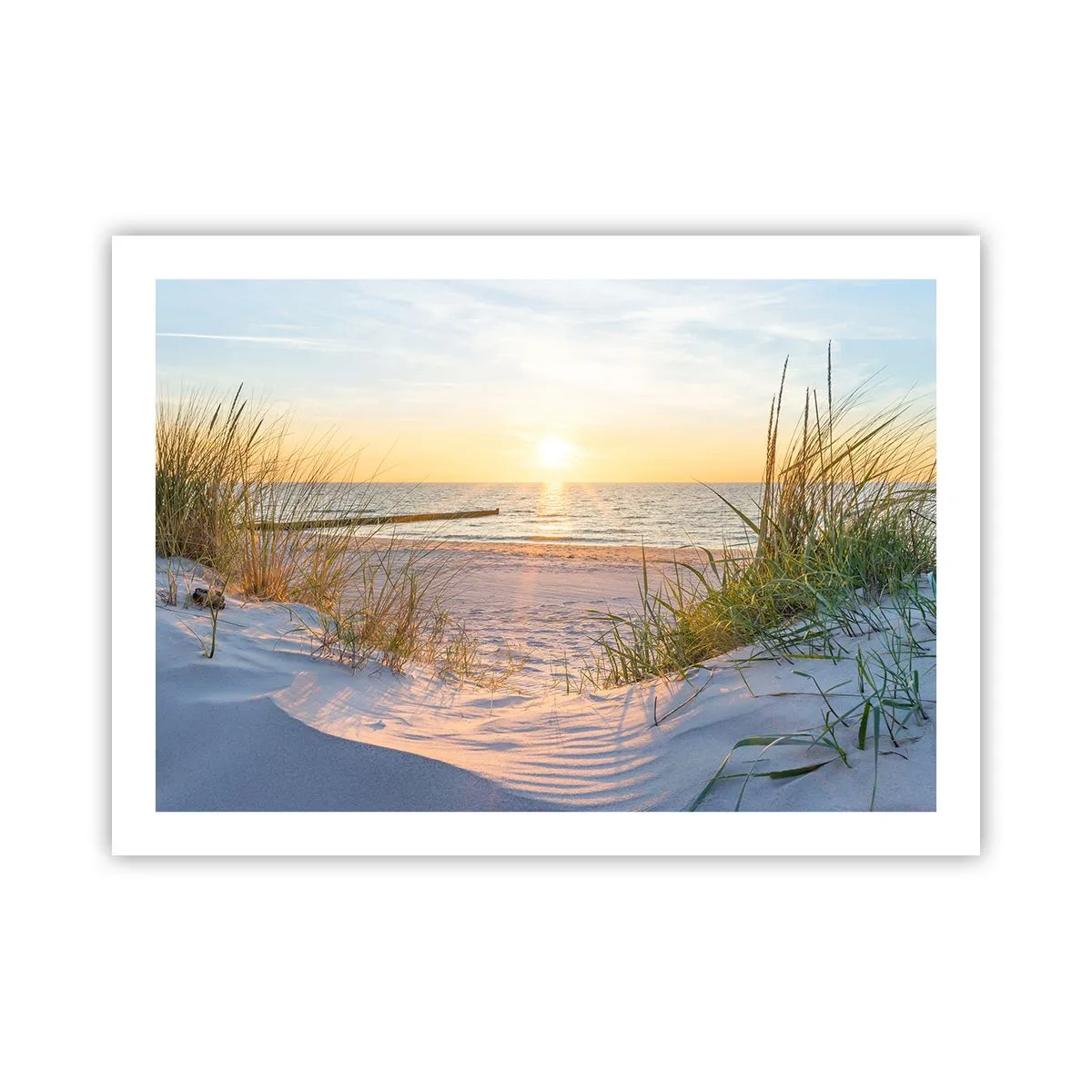 Poster - Sound of the Sea, Singing of the Birds, Wild Beach among Grass - 70x50 cm