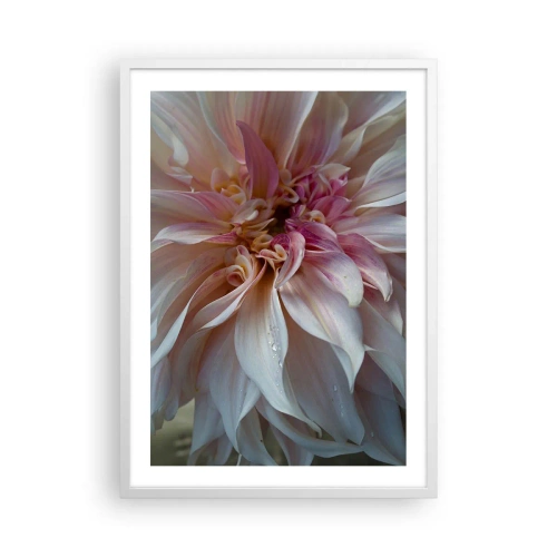 Poster in white frmae - Blooming Freshness - 50x70 cm