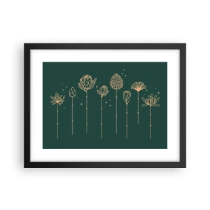 Poster in black frame - The Herb Family - 40x30 cm