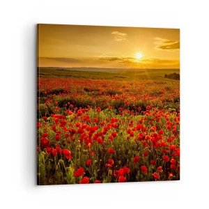 Canvas picture - In the Meadow, among Flood of Flowers - 60x60 cm