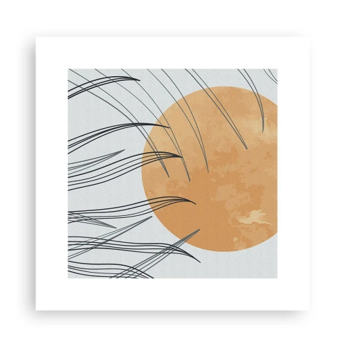 Poster - Always Towards the Sun - 30x30 cm